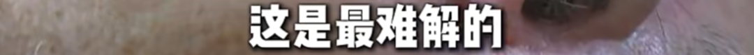 汉密尔顿自曝首胜前曾自我怀疑