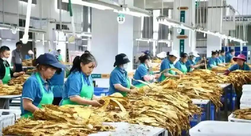 罗马诺：曼联2月就和安德雷桑托斯经纪人沟通，维韦尔了解他